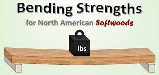 the strongest softwoods bending
