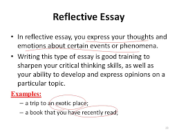 satirical essays examples reflective essay questions good examples    