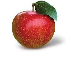 sweetango new york apple ociation