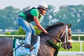 Taylor Made Sets 2014 Stud Fees Oxbow Graydar Join Roster