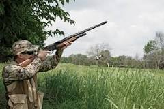 Winchester SXP Field: Shotgun Review - Wildfowl