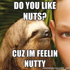Do you like nuts? Cuz im feelin nutty - Whispering sloth | Meme ... via Relatably.com