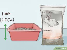 How To Use A Litter Box For A Rabbit