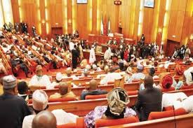 Image result for Nigerian senate