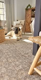 carpet in denton tx berber