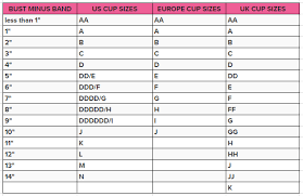 Hot To Measure Bra Size At Home Bra Size Chart Plus For Less
