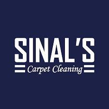 carpet cleaning in south elgin il