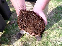 choosing a soil amendment 7 235