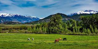 dude ranch vacations colorado