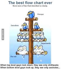 Best Corporate Flow Chart Funny Pictures Funny Jokes