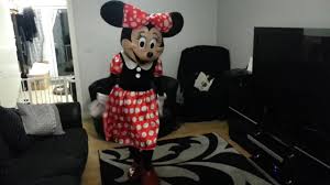 minnie mouse mascot costume you