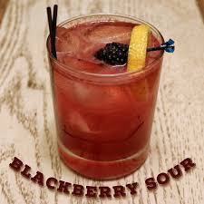 blackberry bourbon sour tail