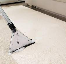 pro carpet care cleaning pro carpet