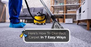 here s how to disinfect carpet in 7