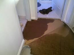 wet carpet underlay carpet