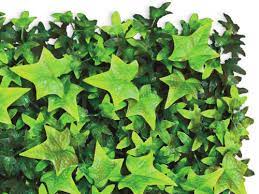 Artificial English Ivy Hedge Fake Ivy