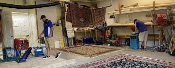 professional area rug cleaning service