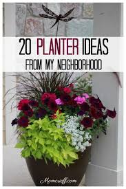 25 Outdoor Planter Ideas Momcrieff