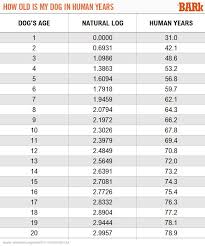 By itself this bmi value would be let me know how you get on and if you agree with the results. How To Calculate Your Dog S Age In Human Years The Bark