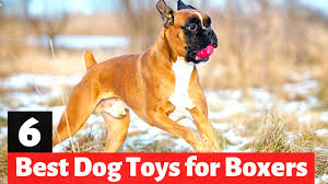 6 best dog toys for boxer dogs which