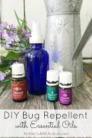 bug spray safe diy insect repellent