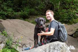 dog friendly hikes near asheville our