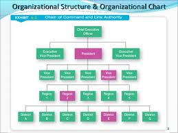 Organisational Designs And Structures Traditional