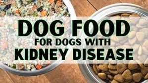 dog food for dogs with kidney disease