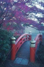 Japanese Garden Misty Scenery