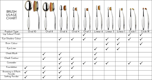 I Want These Luxury Brushes Artis Brush Usage Chart