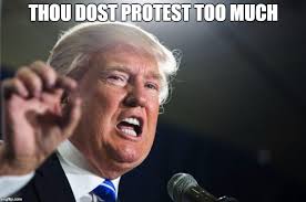 Image result for doth protest too much