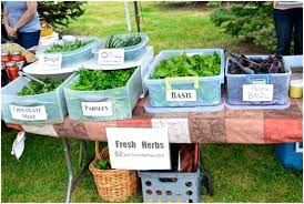 Kids Start A Gardening Business