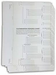Treeseek 15 Generation Pedigree Chart 10 Pack Blank