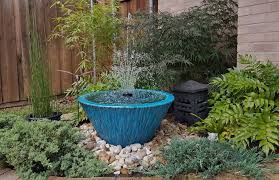 Gardening In A Hot Dry Climate
