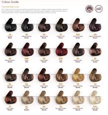 Redken Chromatics Color Chart 2016 1 Redken Hair Color