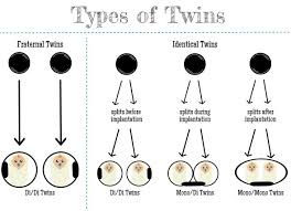 Types Of Twins Cold Coffee Blessings