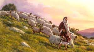 Hanya doa yang diharapkan oleh. Apakah Domba Yang Liar Dipatahkan Kakinya Oleh Gembala Israel 2 Posts About Gembala Domba Yang Sesat