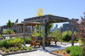 Rooftop Gardens Celebrate Nature