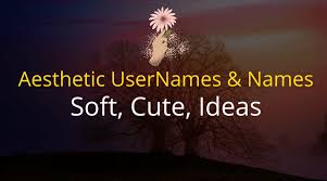 aesthetic usernames names soft cute