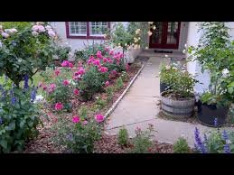 A Tour Of My Personal Rose Garden