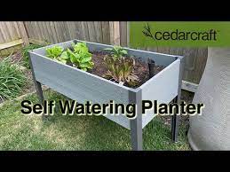 Cedarcraft Self Watering Planter