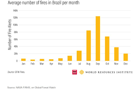 The Amazon Rainforest Is Still On Fire Heres How You Can Help