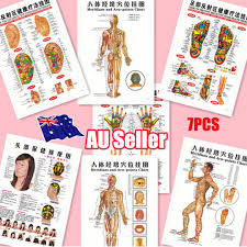 Details About 7pcs English Acupuncture Meridian Acupressure Points Posters Chart Wall Map L3