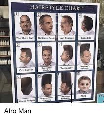 Hairstyle Chart 3 The Shorclfdelicate Beast Iron Triangle