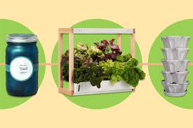 the 9 best indoor herb gardens for 2024