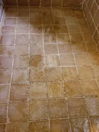 black mold from tile and grout