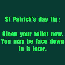dopl3r.com - Memes - St Patricks day tip Clean your toilet now. You may be  face down in it later.