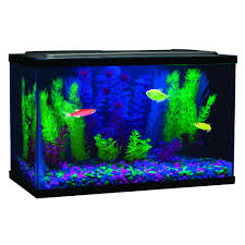 Glofish Blue Led Aquarium Waterproof Light 8 L Petco