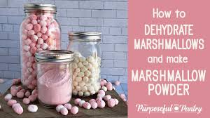 make marshmallow powder