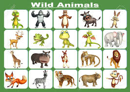 3d Rendered Illustration Of Wild Animal Chart